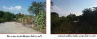 ที่ดินเปล่าหลุดจำนอง ธ.ธนาคารกรุงไทย ตาลาน ผักไห่ พระนครศรีอยุธยา